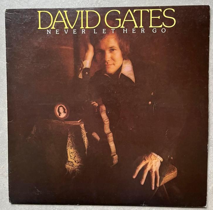 David Gates - Never Let Her Go (Vinyl/LP pop), Cd's en Dvd's, Vinyl | Pop, Zo goed als nieuw, 1980 tot 2000, 12 inch, Ophalen of Verzenden