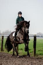 Super lieve en knappe 6 jarige friese ruin, Dieren en Toebehoren, Paarden, B, Gechipt, Ruin, Dressuurpaard