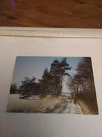 ROB CHRISPIJN. OP DE SLEE OOR DE SNEEUW, Ophalen of Verzenden