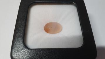 Agaat - Cabochon - Ovaal - 14 mm x 10 mm beschikbaar voor biedingen