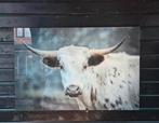 Glasschilderij landelijk stier/koe, Huis en Inrichting, Ophalen of Verzenden, Zo goed als nieuw, Schilderij, 100 tot 125 cm