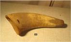Mooie Antieke Hoorn - 25cm, Antiek en Kunst, Ophalen of Verzenden
