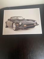 TVR geschiedenis zie andere advertentie, Ophalen of Verzenden, Nieuw, Overige merken