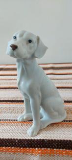 Vintage Beeld wit porselein Weimaraner hond 20 cm, Ophalen of Verzenden, Zo goed als nieuw, Dier