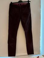 Gaastra donker rode lederlook broek maat 30, Gaastra, ., Maat 42/44 (L), Ophalen of Verzenden
