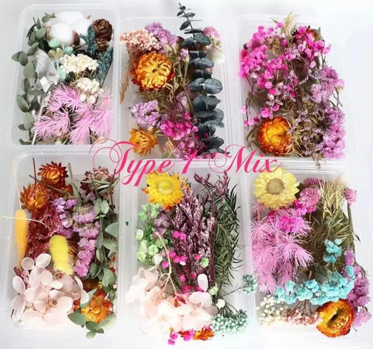 Gedroogde Natuurlijke Bloemen Mix in doos. Nagels/Nail art., Sieraden, Tassen en Uiterlijk, Uiterlijk | Cosmetica en Make-up, Nieuw