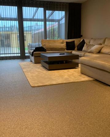 Visgraat Pvc Grindvloer Gietvloer  Vloerverwarming  beschikbaar voor biedingen