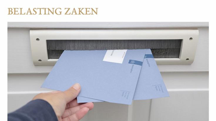 Hulp nodig voor uw belastingzaken?, Boeken, Ophalen of Verzenden, Beta