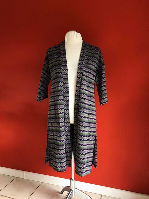 Dutch Lab lang vest maat L/XL (44/46), Kleding | Dames, Truien en Vesten, Zo goed als nieuw, Maat 46/48 (XL) of groter, Paars