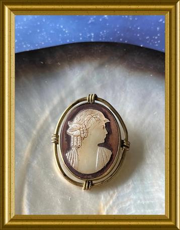 ⭐️Oude bruine glas camee broche beschikbaar voor biedingen