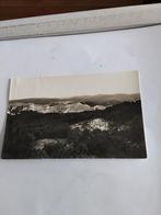 SCHOORL.  PANORAMA VANAF DE TOP BIJ JEUGDHERBERG, Verzamelen, Ophalen of Verzenden, 1940 tot 1960, Noord-Holland