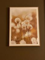 Reinders Schilderij met bloemen, Oorspronkelijke maker, Ophalen of Verzenden, Zo goed als nieuw, Schilderij