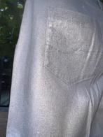 Expresso zilverkleurige broek met glinstering. Maat 42, Kleding | Dames, Broeken en Pantalons, Overige kleuren, Expresso, Maat 42/44 (L)