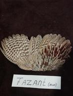 Smudge vleugels energetisch/spiritueel reinigen, Ophalen of Verzenden, Zo goed als nieuw, Spiritualiteit algemeen, Achtergrond en Informatie