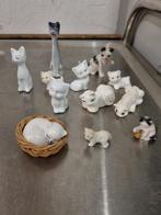 letterbakbeelden poezen verschillende, Ophalen of Verzenden