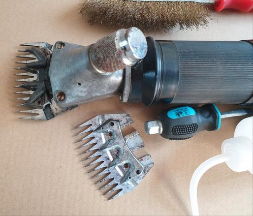TE KOOP degelijke goed lopende MARS UNIVERSAL SCHEERMACHINE, Dieren en Toebehoren, Schapen, Geiten en Varkens, Schaap