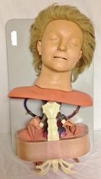 0909 Anatomische oefen pop, Ophalen of Verzenden, Gebruikt, Meerdere media, Overige typen