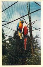(388-044-053) Alphen aan den Rijn Avifauna, Verzamelen, Verzenden, Zuid-Holland