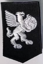 GEZOCHT DT2000 mouwemblemen, Verzamelen, Militaria | Algemeen, Ophalen of Verzenden, Landmacht, Nederland, Embleem of Badge