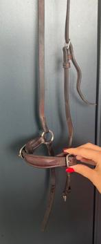 Hannoverse noisriem vanCWD in maat 2., Ophalen of Verzenden, Zo goed als nieuw, Dressuur