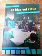 studieboek Een klas vol kleur, Boeken, Ophalen of Verzenden, Beta, Zo goed als nieuw, HBO