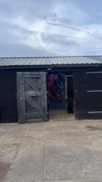 2 stallen vrij op gezelloge kleine pensionstal, Dieren en Toebehoren