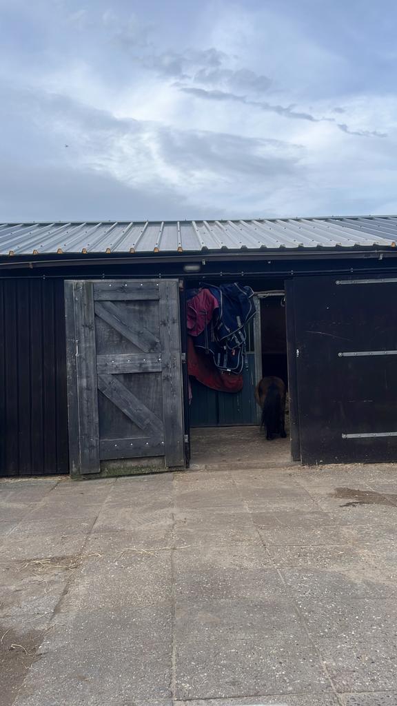 2 stallen vrij op gezelloge kleine pensionstal, Dieren en Toebehoren, Stalling en Weidegang