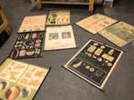 Vintage schoolposters / schoolplaten - 8 stuks, Ophalen of Verzenden