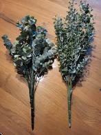 Stoer en sober, landelijk, bloemen, eucalyptus, planten, Ophalen of Verzenden, Zo goed als nieuw