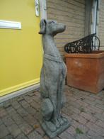 statige beton stenen hond windhond whippet greyhound, Ophalen, Beton