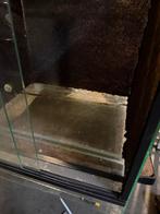 Mooie kikker paludaruim, Ophalen of Verzenden, Zo goed als nieuw