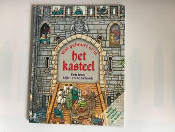 Wat Gebeurt Er In Het Kasteel. Een Leuk Kijk En Zoek achter  beschikbaar voor biedingen