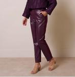 Studio Anneloes Anne faux broek travelstof blackberry mt XL, Maat 46/48 (XL) of groter, Ophalen of Verzenden, Zo goed als nieuw