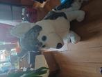 Grote Husky hond, Ophalen, Zo goed als nieuw, Hond