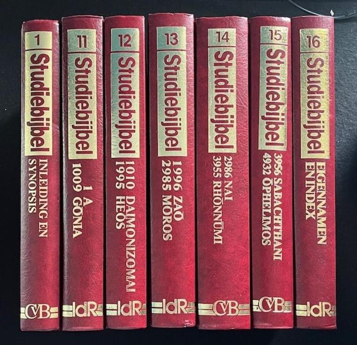 Studiebijbel Nieuwe Testament; Inleiding en Woordstudies, Boeken, Godsdienst en Theologie, Zo goed als nieuw, Verzenden