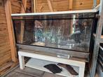 Terrarium 100x50x50cm, inclusief UV-warmtelamp