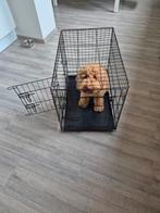Medium hondenbench (excl hond), Dieren en Toebehoren, Hondenbenches, Ophalen, Zo goed als nieuw