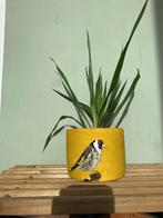 Handbeschilderde Bloempot Vogel Puttertje, Rond, Ophalen of Verzenden, Zo goed als nieuw, Aardewerk