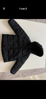 Tommy Hilfiger Winterjas Maat 92, Ophalen of Verzenden, Zo goed als nieuw, Jongen