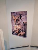 Leeuwin met welp poster 120 x 80, Ophalen of Verzenden