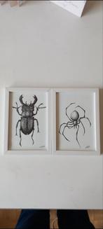 Handgetekende stippling ingelijst 2 exemplaren, Ophalen of Verzenden