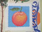 Borduurpatroon  Sinaasappel   nr 9051, Verzenden, Nieuw, Handborduren, Patroon