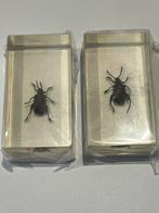 Insecten in acrylhars, Ophalen of Verzenden, Nieuw, Beeldje of Figuurtje