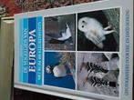 De vogelgids van Europa., Boeken, Jim Flegg, Ophalen of Verzenden, Zo goed als nieuw, Vogels