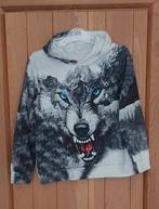 Hoodie van Chaos Monkey - Maat 140, Ophalen, Chaos Monkey, Trui of Vest, Zo goed als nieuw