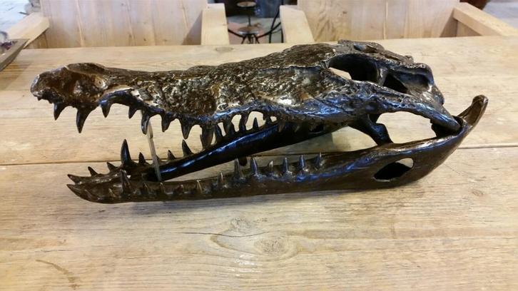 Brons / SCHEDEL van een KROKODIL / nieuw!! / OPRUIMING, Verzamelen, Dierenverzamelingen, Nieuw, Schedel, Wild dier, Ophalen of Verzenden