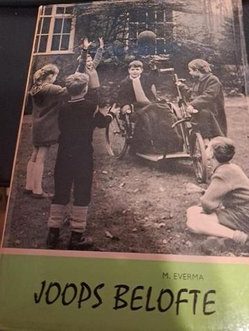 M. Everma - Moeders jongen beschikbaar voor biedingen