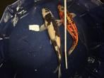 Shiro utsuri Japanse koi, Karper of Koi