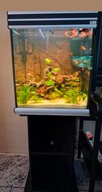 Aquarium aquatlantis 150 liter 50x50x60 met standaard, Dieren en Toebehoren, Vissen | Aquaria en Toebehoren, Ophalen, Gebruikt