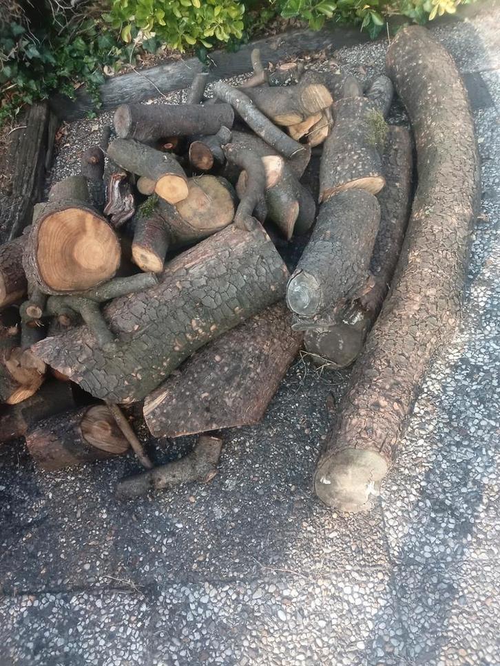 Kachelhout, Tuin en Terras, Haardhout, Minder dan 3 m³, Ophalen